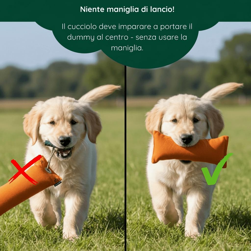 Romneys cuccioli-Dummy, circa 250 G
