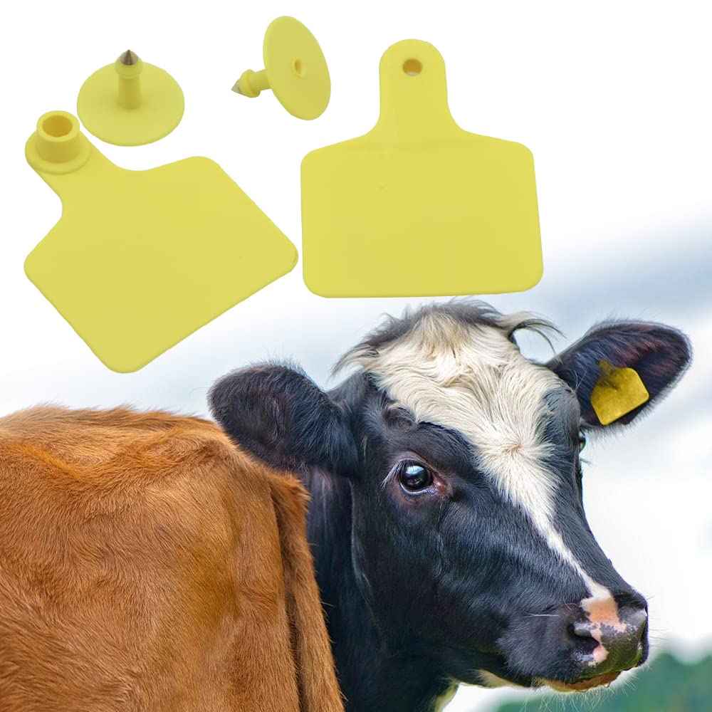 100 Étiquettes Oreille Bétail Jaunes 7.9x6.1cm - TPU Numéroté | Pour Bovins, Élevage, Traçabilité