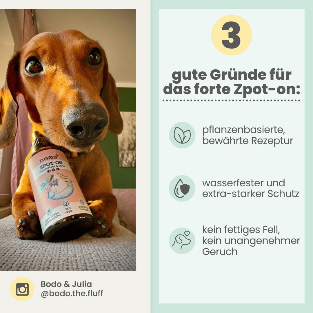 Noms+ Zpot-on wasserfestes Zeckenmittel für Hunde Jahresvorrat | Spot On mit pflanzenbasierten Wirkstoffen & DMSO | gegen Zecken, Milben, Flöhe, Sandmücken