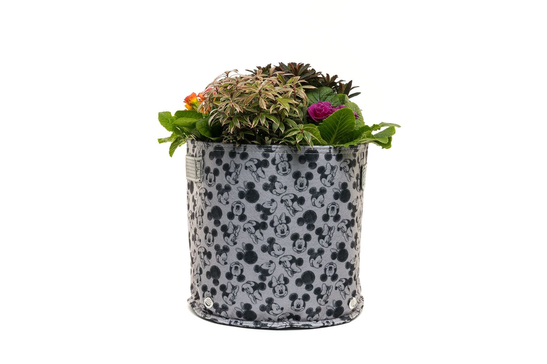 Disney Mickey Mouse & Minnie Mouse Fabric Eco Pots Grey - 9L