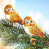 Landeplatz gesucht! TRI Christbaumschmuck, Glas-Eulen, 2 Stück, Deko-Eulen, Deko-Schmuck, Eulenfigur, Herbstdeko, Christbaumschmuck, Klammerfüße, Weihnachtsdeko, 6 x 4,5 x 7 cm