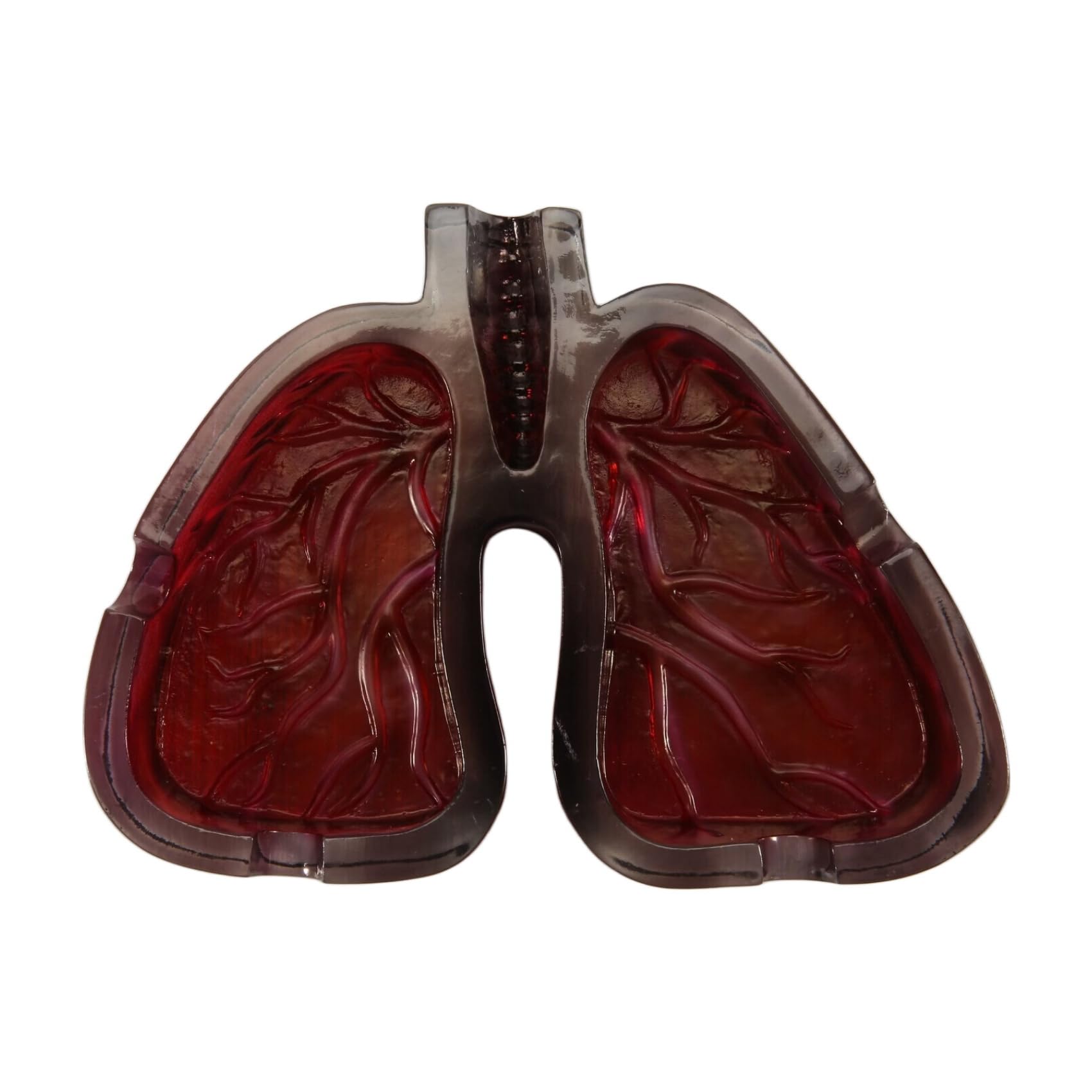 Aniyaa Human Organ Body Art Lung Shape Resin Ashtray Home Room Tabletop Decoration Room Decor