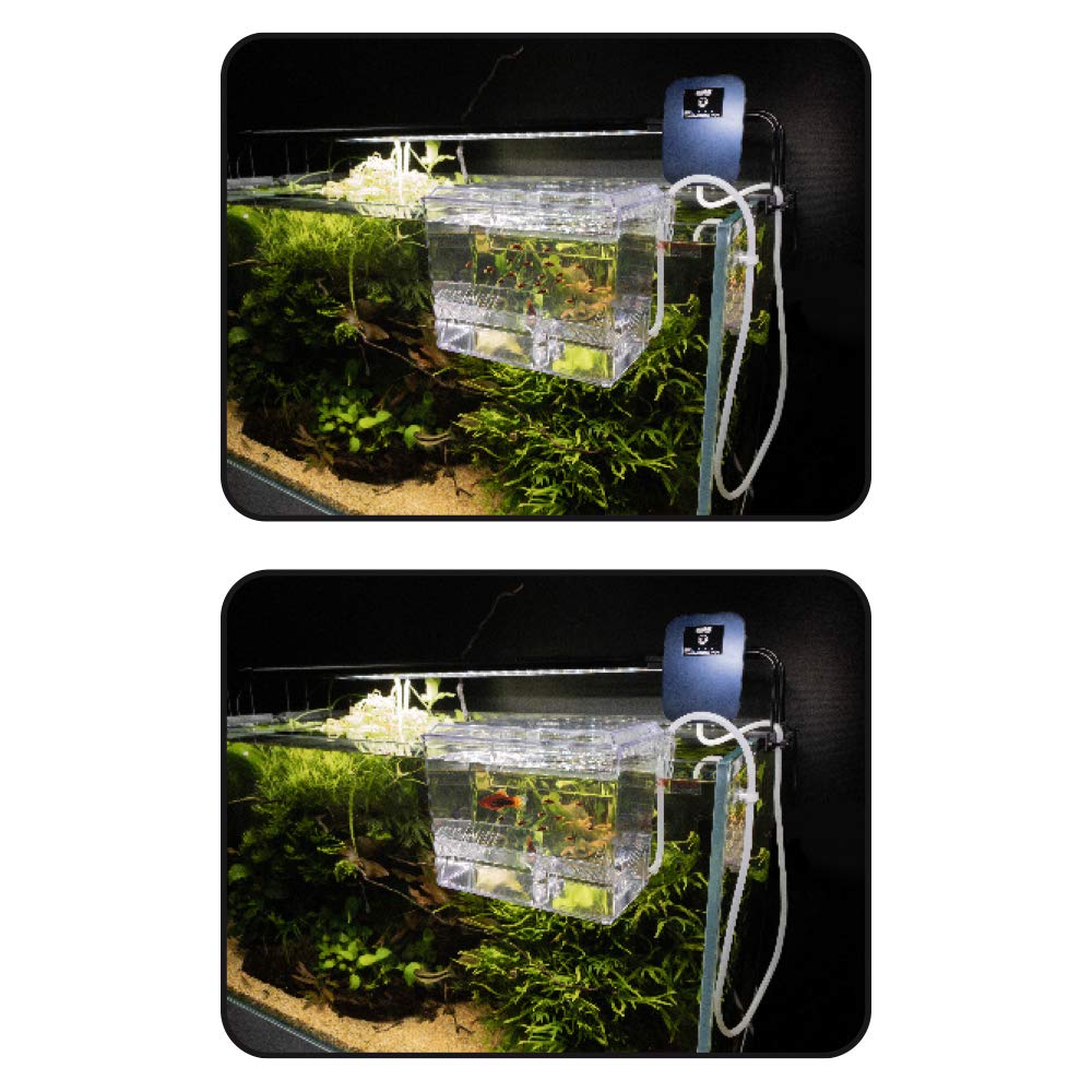 Amtra Oriental Wind 3 Holz-Deko Für Aquarien – Handgefertigt, Naturgetreue Bonsai-Optik, Ca. 30x13x23 Cm