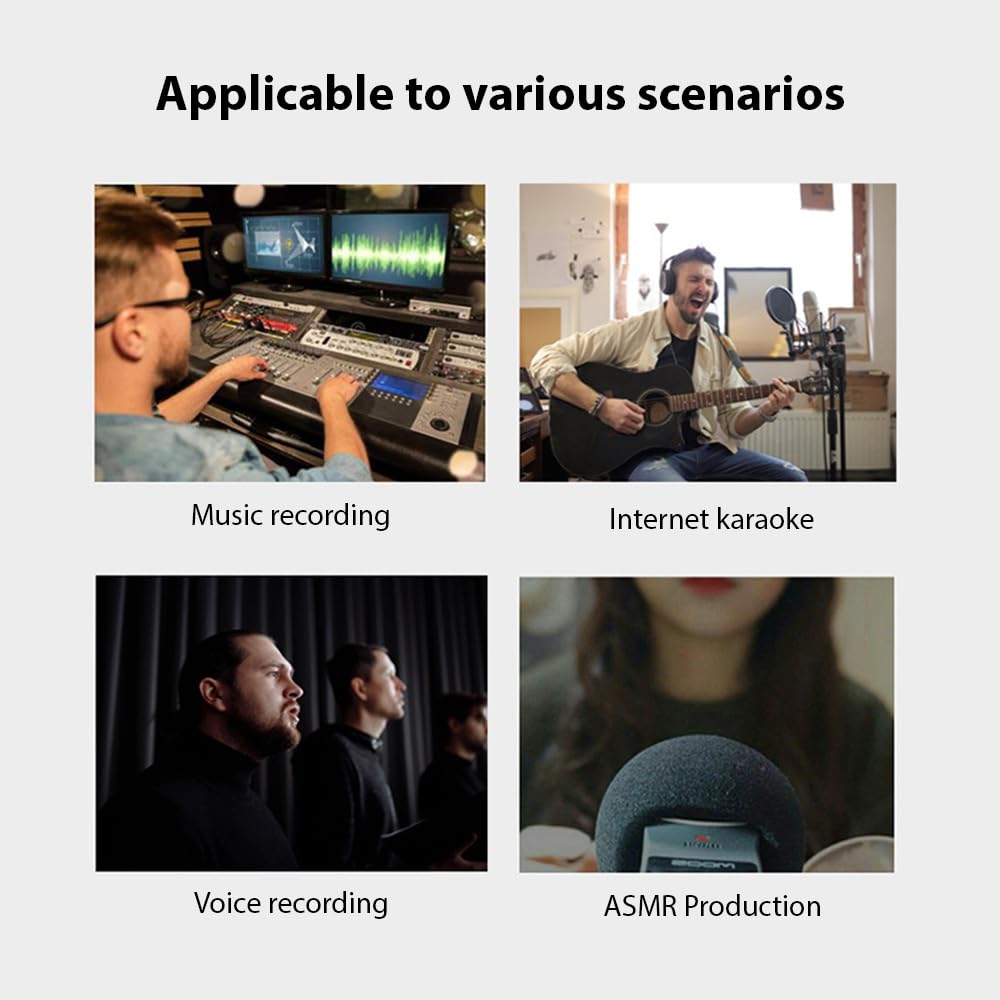 Jemora Interface audio Enregistrement professionnel Interface audio XLR DSP Reverb Carte son avec alimentation fantôme 48 V Résolution 16 bits/48 kHz Plug and Play pour l'enregistrement de musique Kar