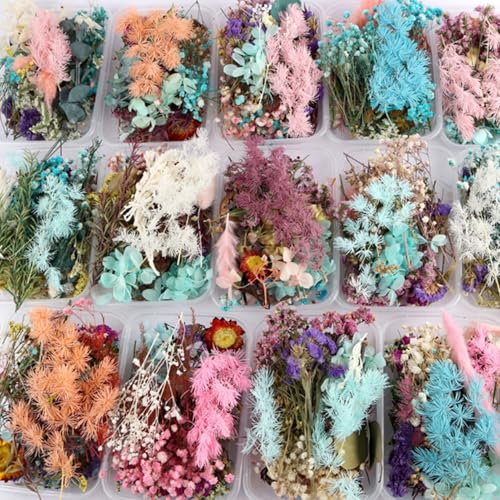 Flores secas prensadas variadas para manualidades miniatura 3