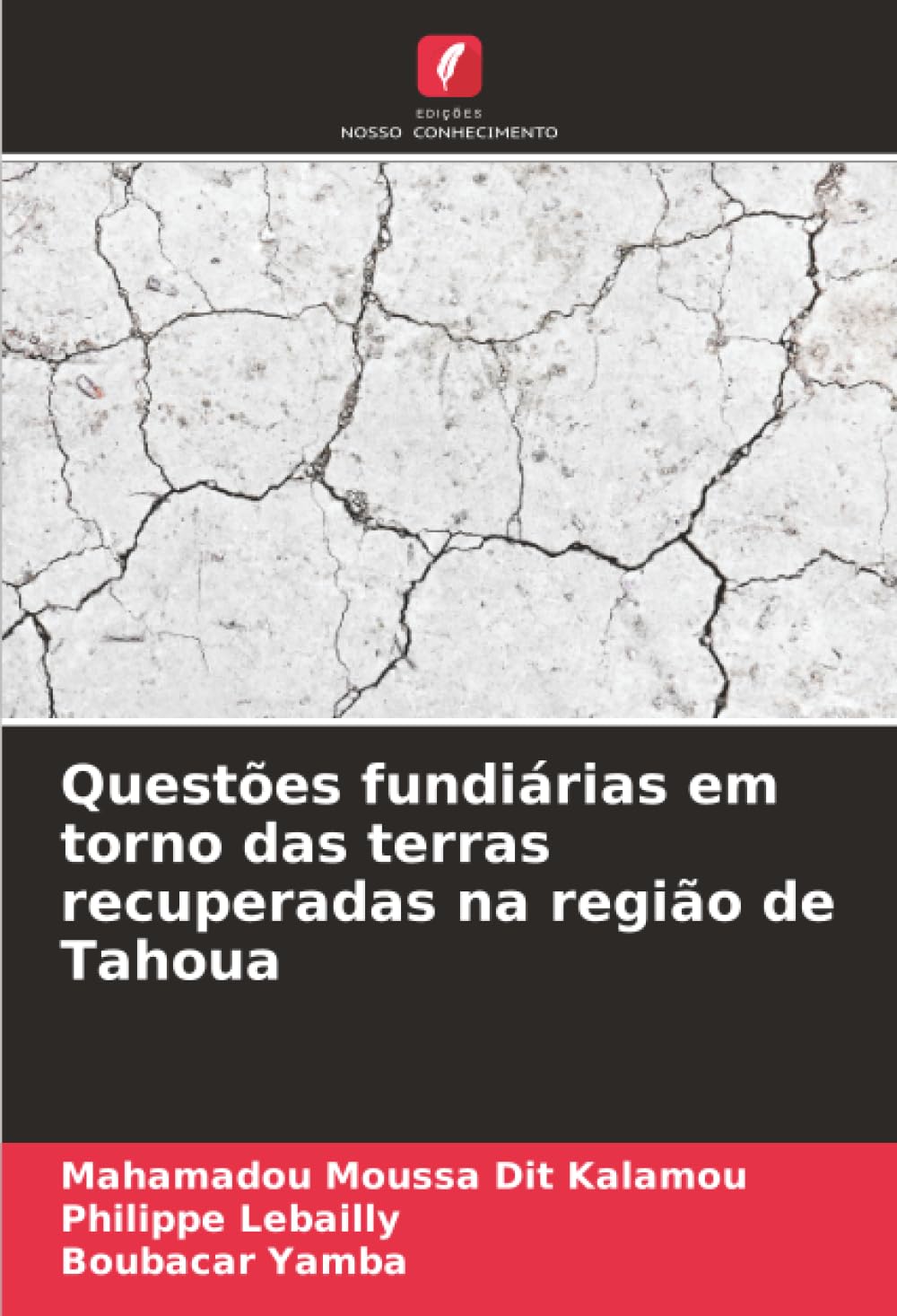 Questões fundiárias em torno das terras recuperadas na região de Tahoua