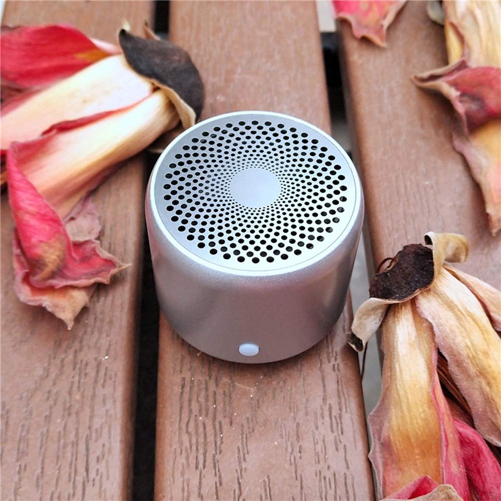 Mini Speaker with Carry Case Bass Radiator Portable Speaker 5 0 for Outdoors Home Showe Color D Argento