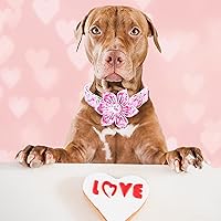 Vista 87 de Lionheart glory Collar de perro con bandera estadounidense, collar de flores para perro del 4 de julio, resistente y ajustable, collar patriótico