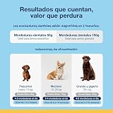 Ver la foto 6