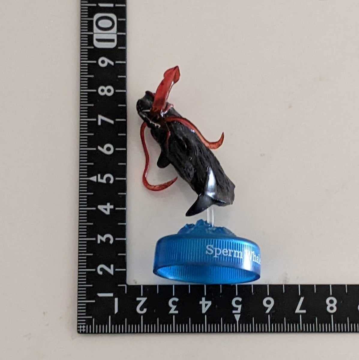 Amazon | マッコウクジラ・シークレット ダイドーMIU深海生物2