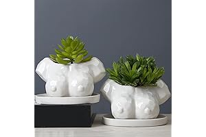 Sophisticated Boob Planter: Feminine Body Planter for a Unique Home Decor
