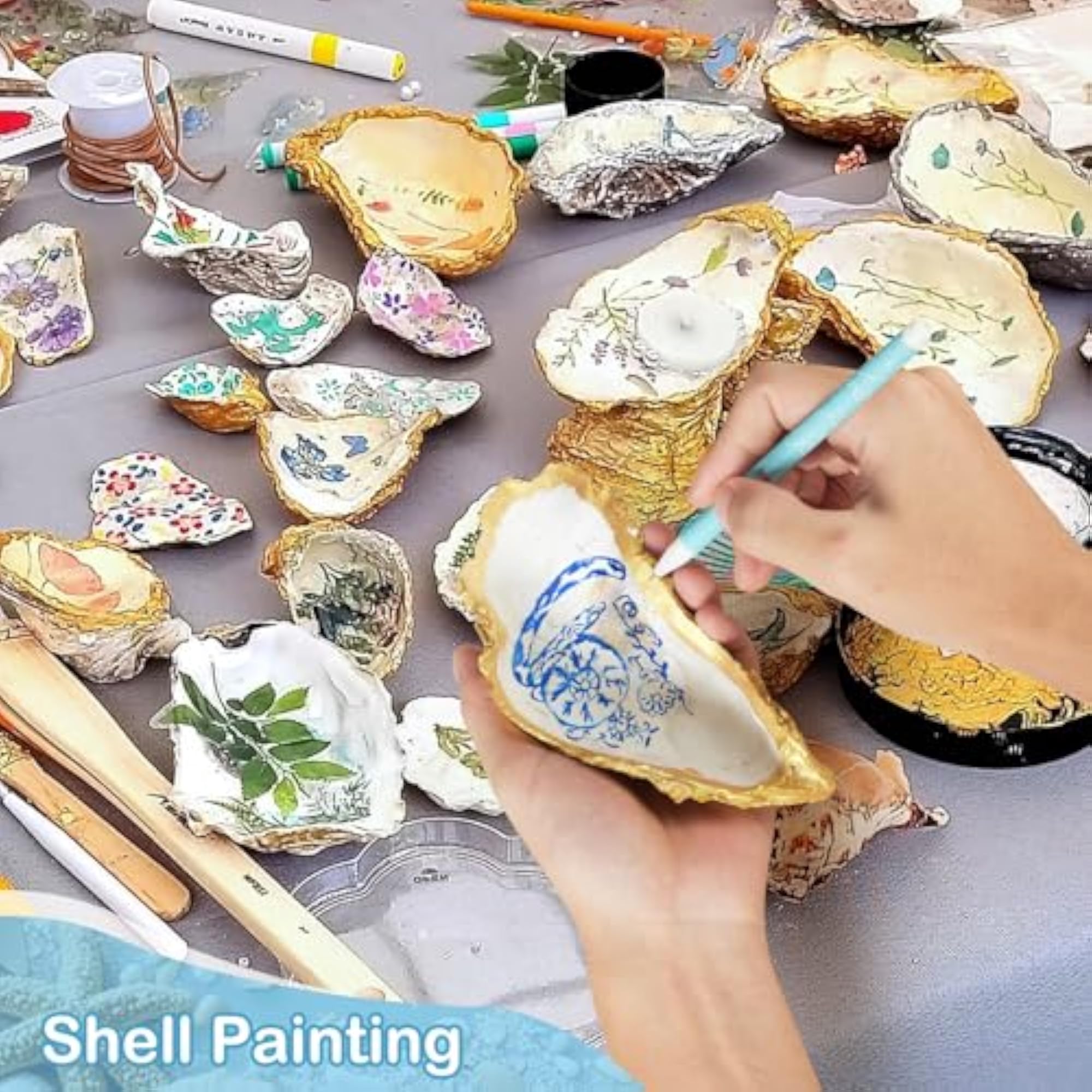 Extra Large Shells for Crafts, 12 Pcs Set