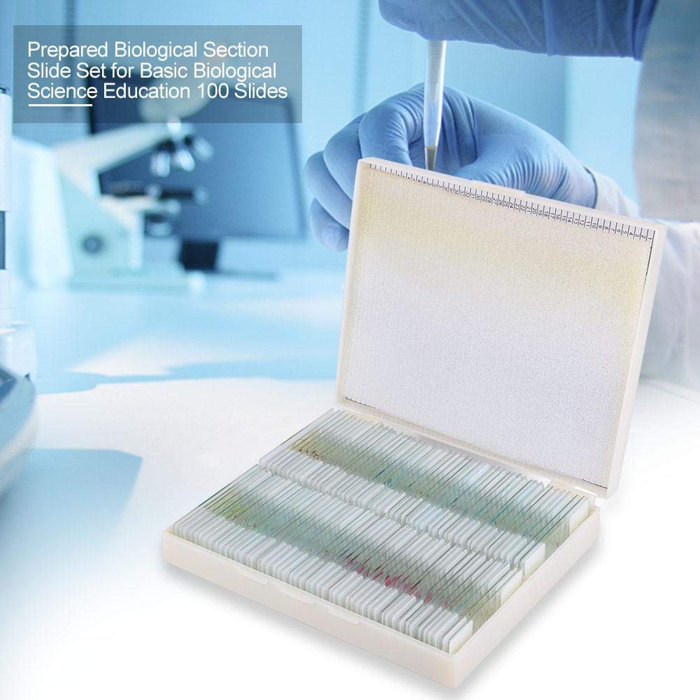 100 piezas Juego de portaobjetos preparado Portaobjetos de microscopio preparado Laboratorio Surtido de muestras Accesorios para microscopios