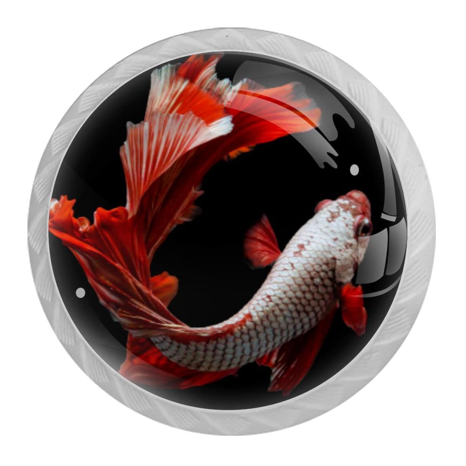 Tqmspg Multi Goldfish