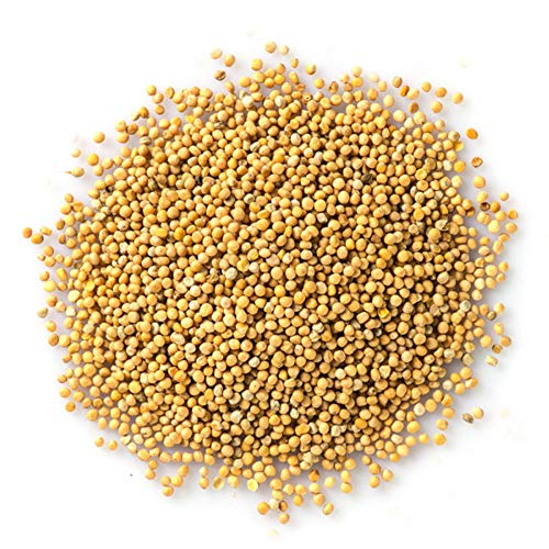 Instant Sunshine Yellow Mustard microgreen Sprouting Seeds - 100 Grams