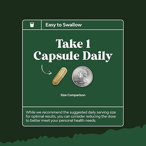 Miniatura 6 de Potent Olive Leaf Extract Cápsulas  Suplemento antioxidante de alta resistencia con hoja de olivo pura con 20% de oleuropeina  Suplemento herbario