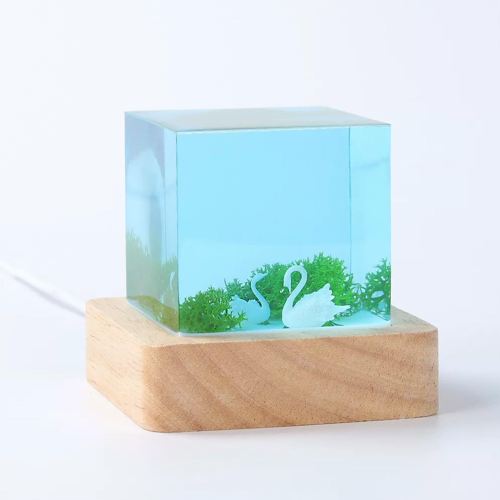 ATCKCALB Handmade Ocean Resin Lamp, 3D Underwater Marine Life Night Light with Wooden Base, Unique Gifts for Scuba Divers, Desktop Decor for Bedroom(C)