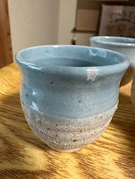 Amazon.co.jp: 信楽 しんにょ陶器 おちょこ 5個セット : ホーム