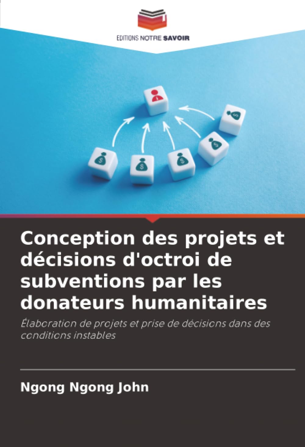 Conception des projets et décisions d'octroi de subventions par les donateurs humanitaires: Élaboration de projets et prise de décisions dans des conditions instables