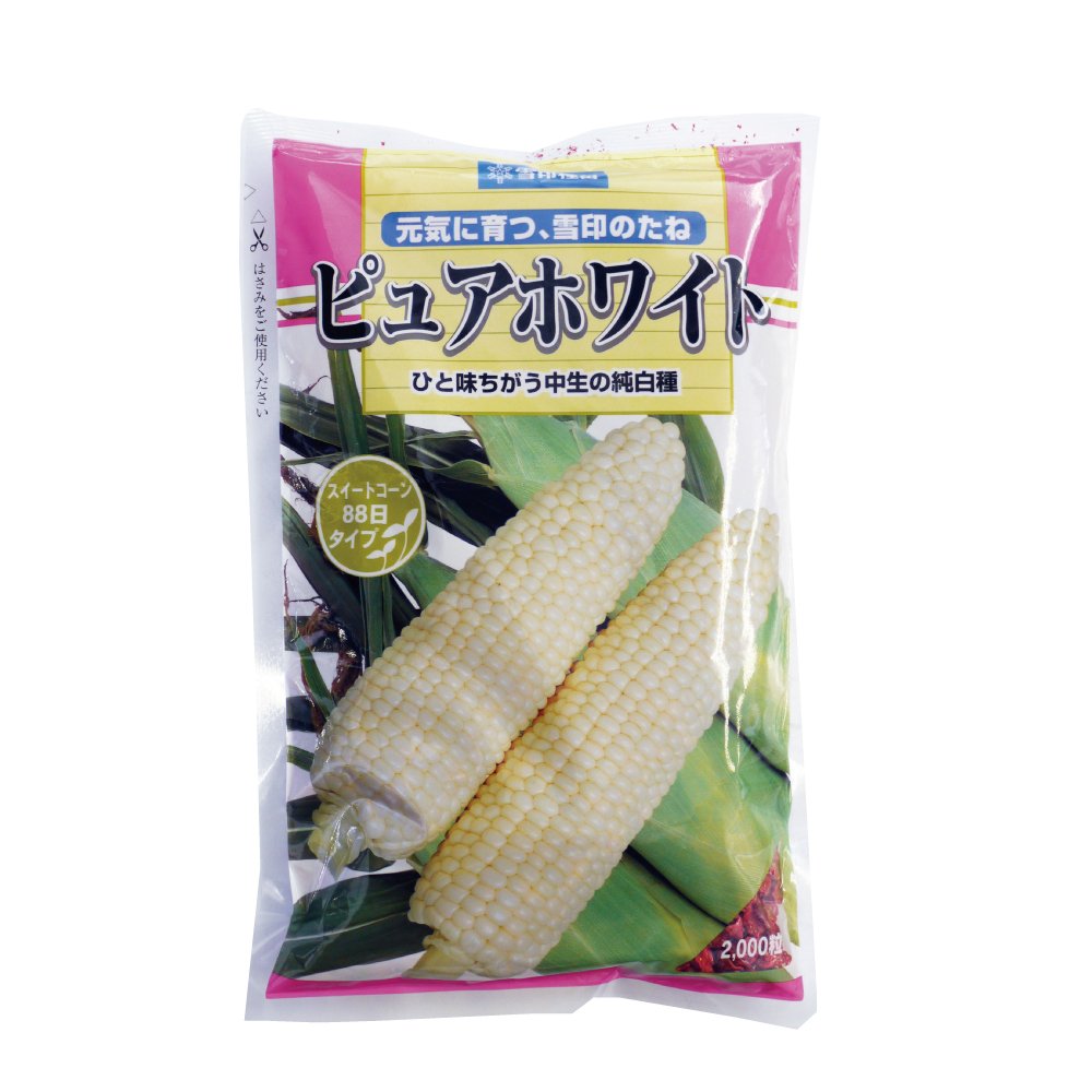 Amazon.co.jp: とうもろこし 種 【 ピュアホワイト 】 種子 2000粒