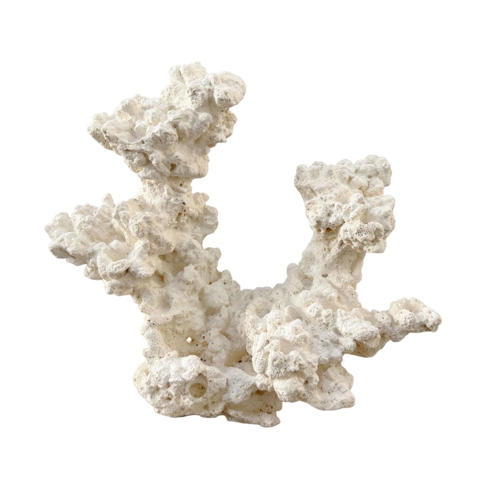 Décoration D'aquarium pour Poisson-Clown : Cachette, Sculpture Ornementale, Grotte de Reproduction pour Aquarium d'eau Douce, Accessoires pour, Style C