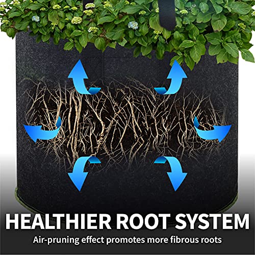 Garnen 20 Gallon Garden Grow Bags (5 Packs), Vegetable/Flower/Plant Growing Bags, Heavy Duty Thickened Nonwoven Fabric Pots Planter With Reinforced Handles For Outdoor And Indoor Planting #TOP2