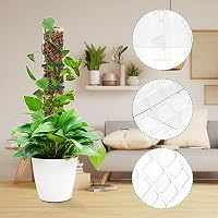 AIQII Mohabot Támasztórúd Szett 6 db 61 cm Monstera Kúszónövény Támasz Átlátszó Műanyag Karóval és Rögzítőkkel 6
