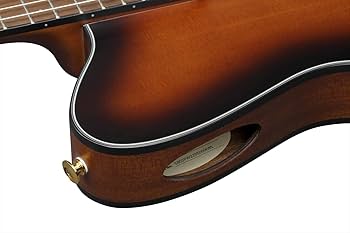 Amazon.com: Ibanez FRH10N Thinline Nylon Acoustic-electric Guitar