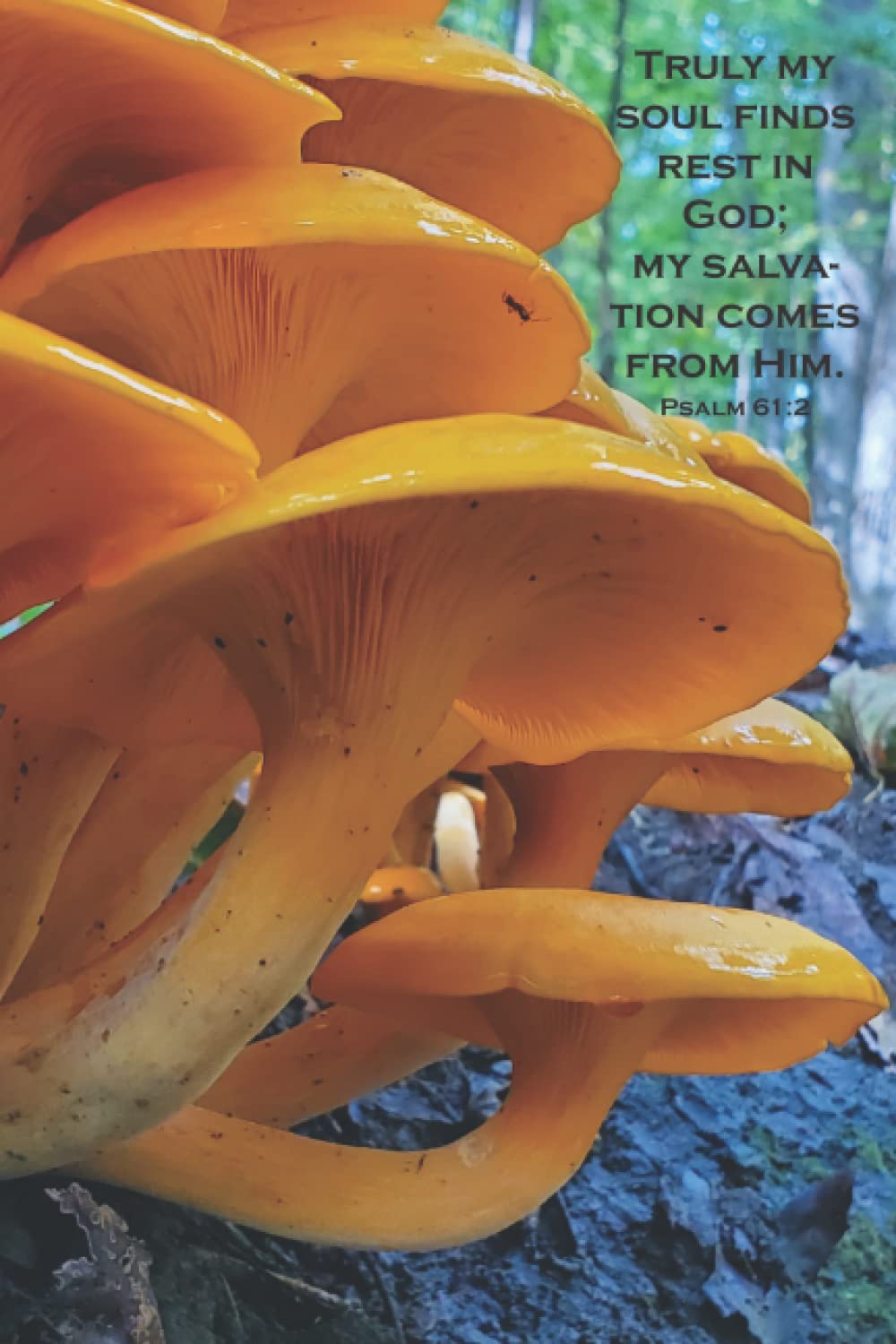 Independently published Mushroom Daily Journal with Bible Verse: Psalm 61:2