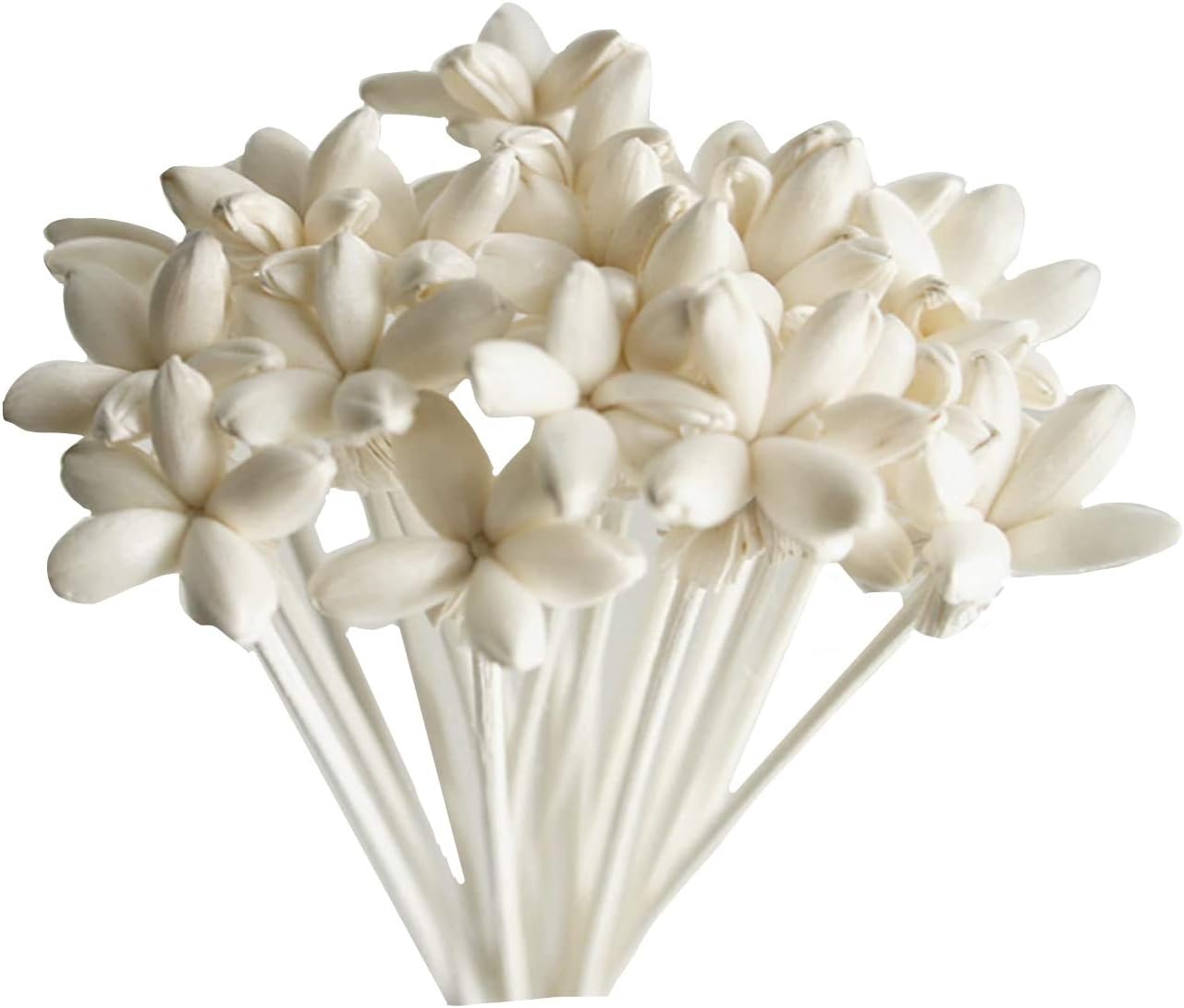 40 Mini Night Jasmine Sola Flower Reed Diffuser for Home Fragrance Aroma Oil by Plawanature