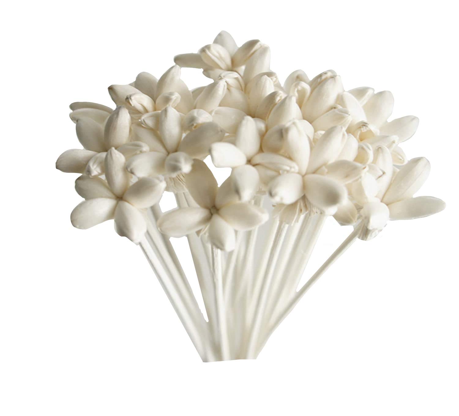 40 Mini Night Jasmine Sola Flower Reed Diffuser for Home Fragrance Aroma Oil by Plawanature