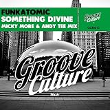 te divina funciona  Something Divine (Micky More & Andy Tee Mix)