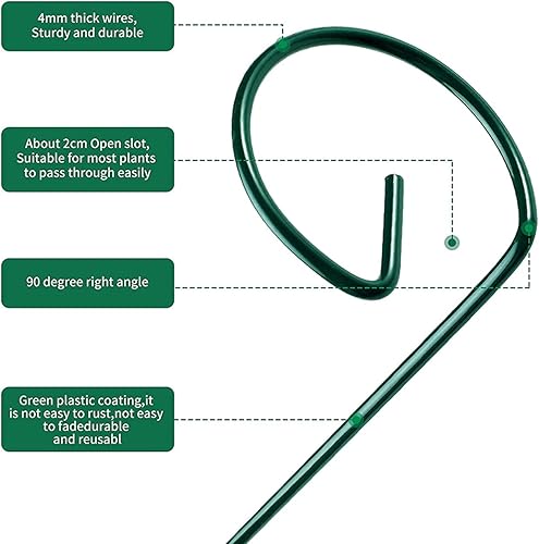 Vista 3 de SUNYAY 10 estacas y anillos de metal de 16 pulgadas para amarilis, orquídea, lirio, girasol, rosa, narciso, 10