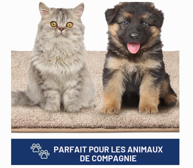 Tapis Entree Interieur Demi - Cercle Kaki Tapis D'entrée Antidérapant Lavable Paillasson Exterieur Entree Absorbant Tapis d Entree Interieur pour Chambre Cuisine Couloir(80x120cm)