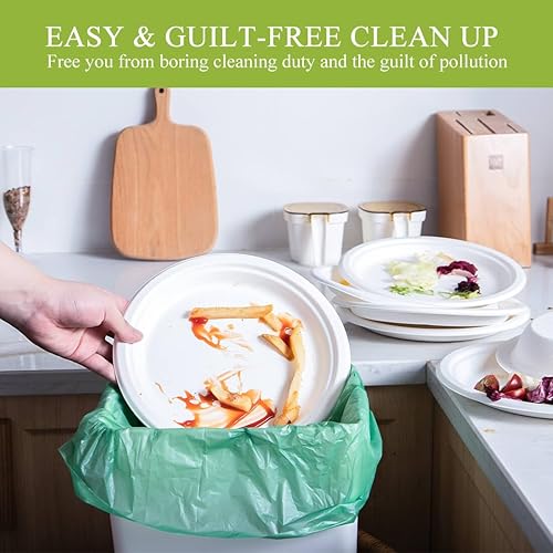 Miniatura 7 de VIOBIO Platos de papel resistentes de 9 pulgadas, paquete de 125 platos de fiesta desechables compostables de bagazo blanco, ecológicos y
