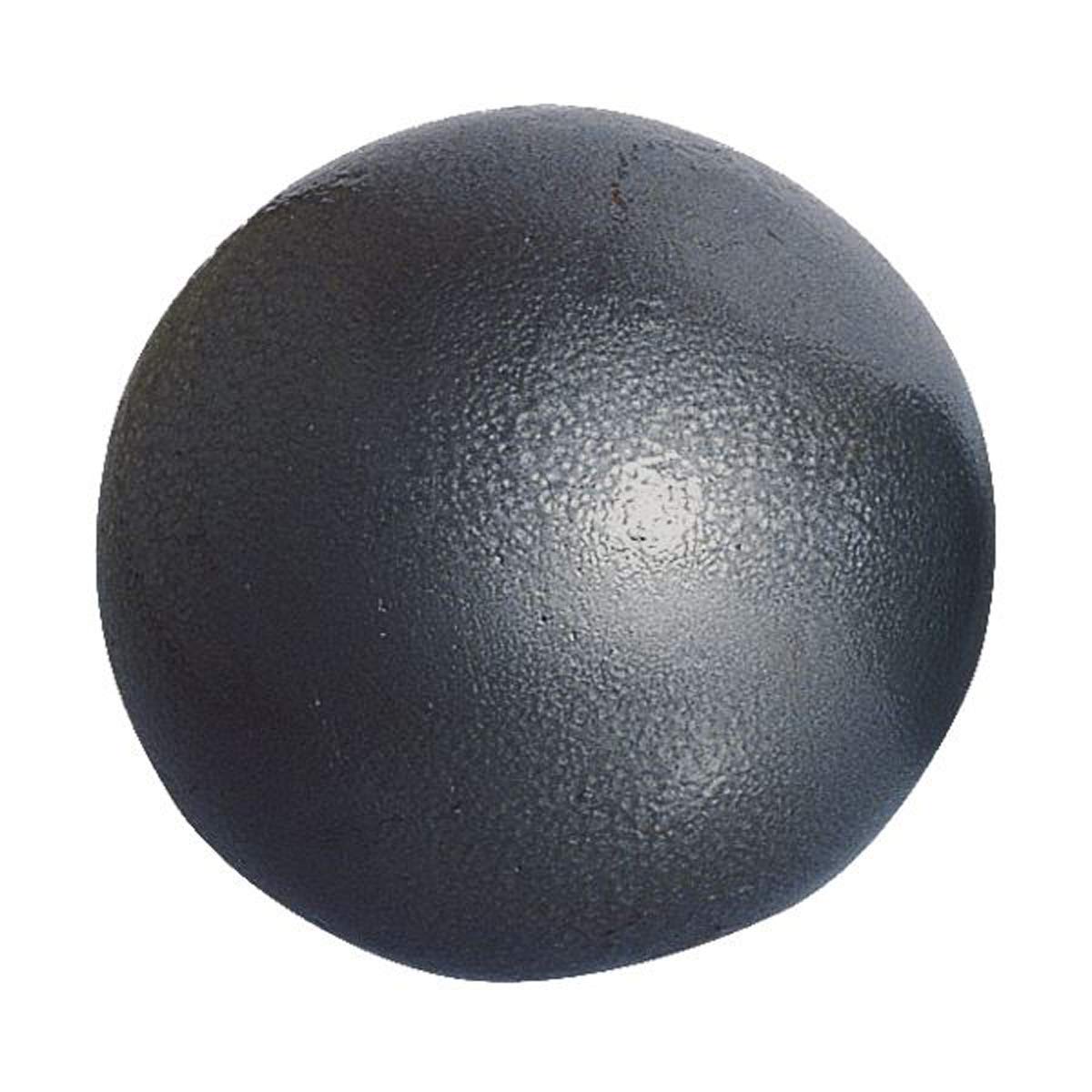 Visiodirect Poids Scolaire en Fonte Coloris Gris foncé - Poids 7,26 kg - Diamètre : 125 mm