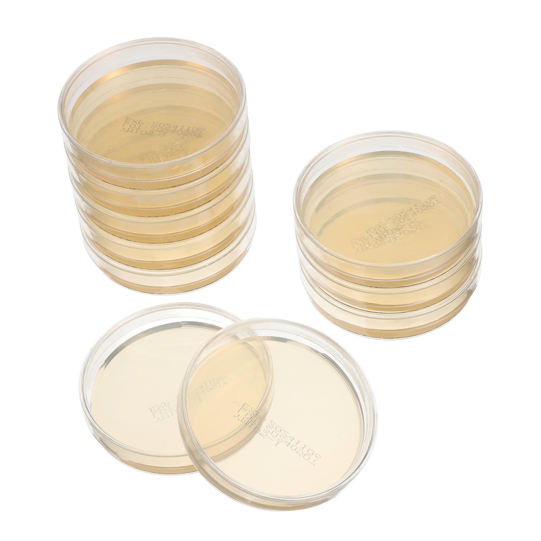 Piastre Petri Agar Nutrienti 7cm Pronte All’uso, 10 Pezzi | Esperimenti di Microbiologia e Scienze Stem, Supporto Didattico per Studenti e Scuola
