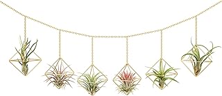 Dahey Gold Geometric Hanging Air Plant Holders - Set of 6 Square Metal Planters with Chains for Indoor Wall Decor