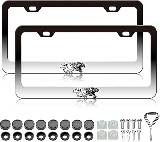 Eagle Snake License Plate Frame - 2PCS Personalized Aluminium Metal License Plate Holder, Rust-Proof Waterproof Car Decorative Tag Frames