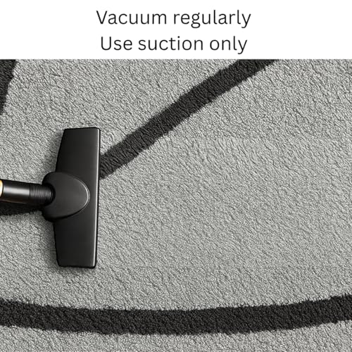 Image of Modern Shaggy Round Rug | Ultra-Soft Plush Circle Carpet for Living Room, Bedroom, Nursery | Fuzzy, Fluffy Area Rug with Non-Slip Base Silver Ball 7x7 feet