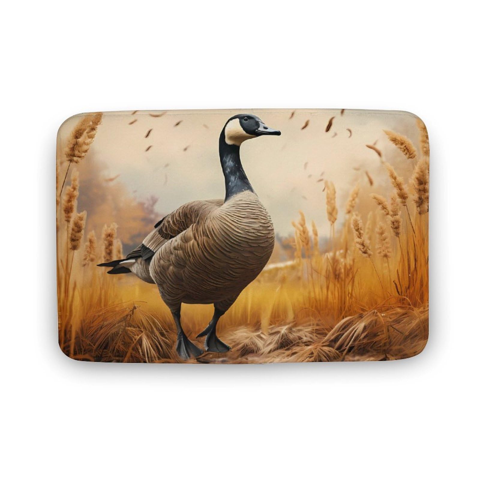 Goose Coral Velvet Rugs Non-Slip Bathroom Rugs Soft Kitchen Rug Floor Carpet for Home Decor 15.7