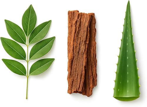 Miniatura 6 de Limpieza y desintoxicación de 15 días - Apoya la salud digestiva, la regularidad y la limpieza intestinal - A base de hierbas con probióticos