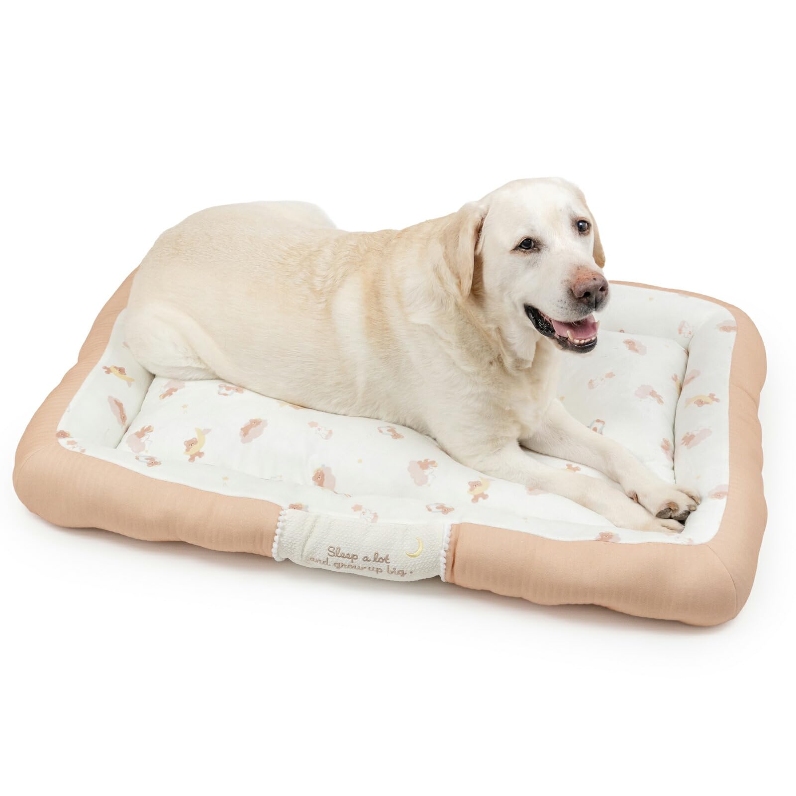 Amazon | ペットパラダイス 犬 ベッド 寝具 クッション おやすみくま