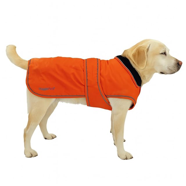 HugglePets Abrigo térmico para perro resistente a la intemperie, grande, 50 cm, color naranja, armadura ártica