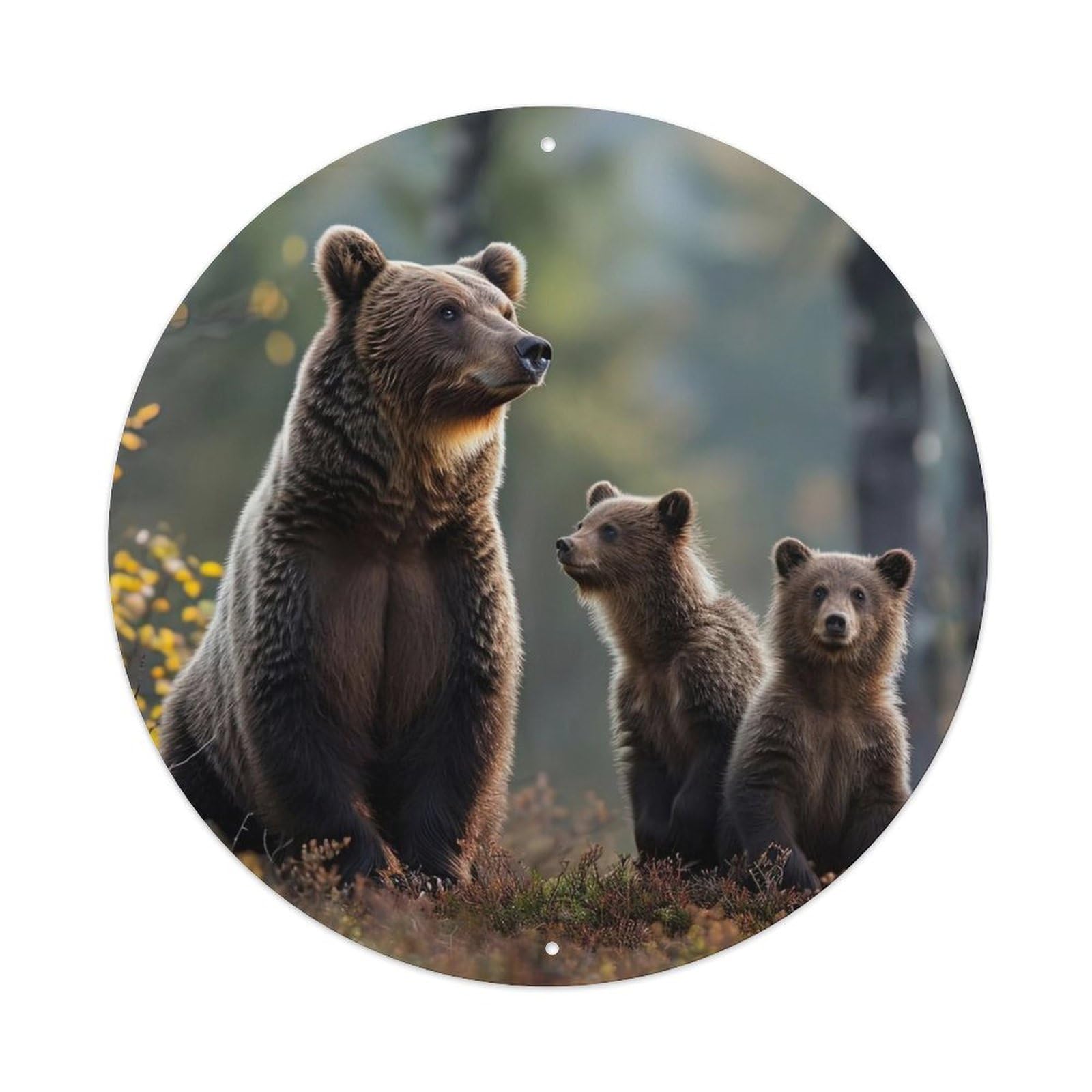 Animal Cute Grizzly Bear in The Forest Metal Tin Sign