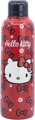 Sanrio Hello Kitty Stainless Steel Water Bottle