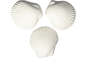 Wonder Shell Natural Minerals (3-Pack) | Small