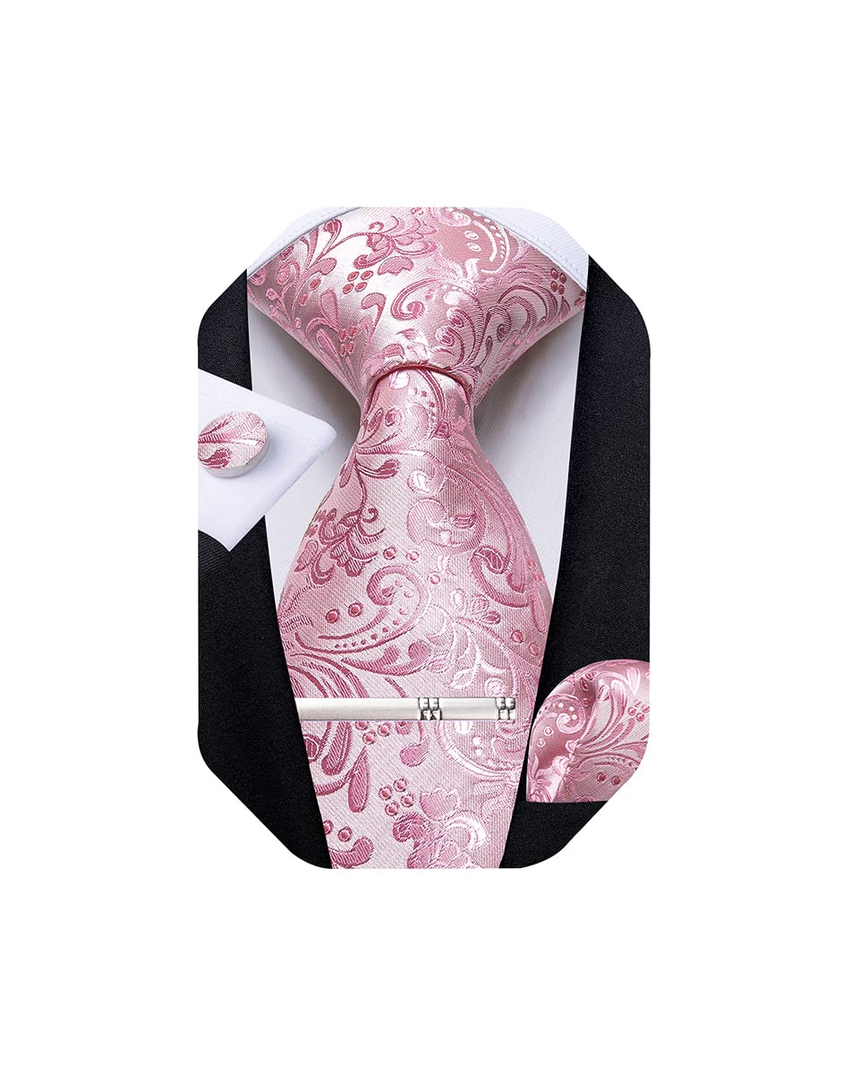DiBanGu Silk Floral Ties for Men Woven Paisley Necktie