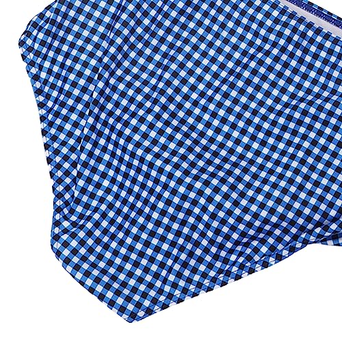 Maiô Feminino de Duas Peças, Fecho de Alça Nas Costas Estampa Xadrez Azul para Festa na Praia (GG)