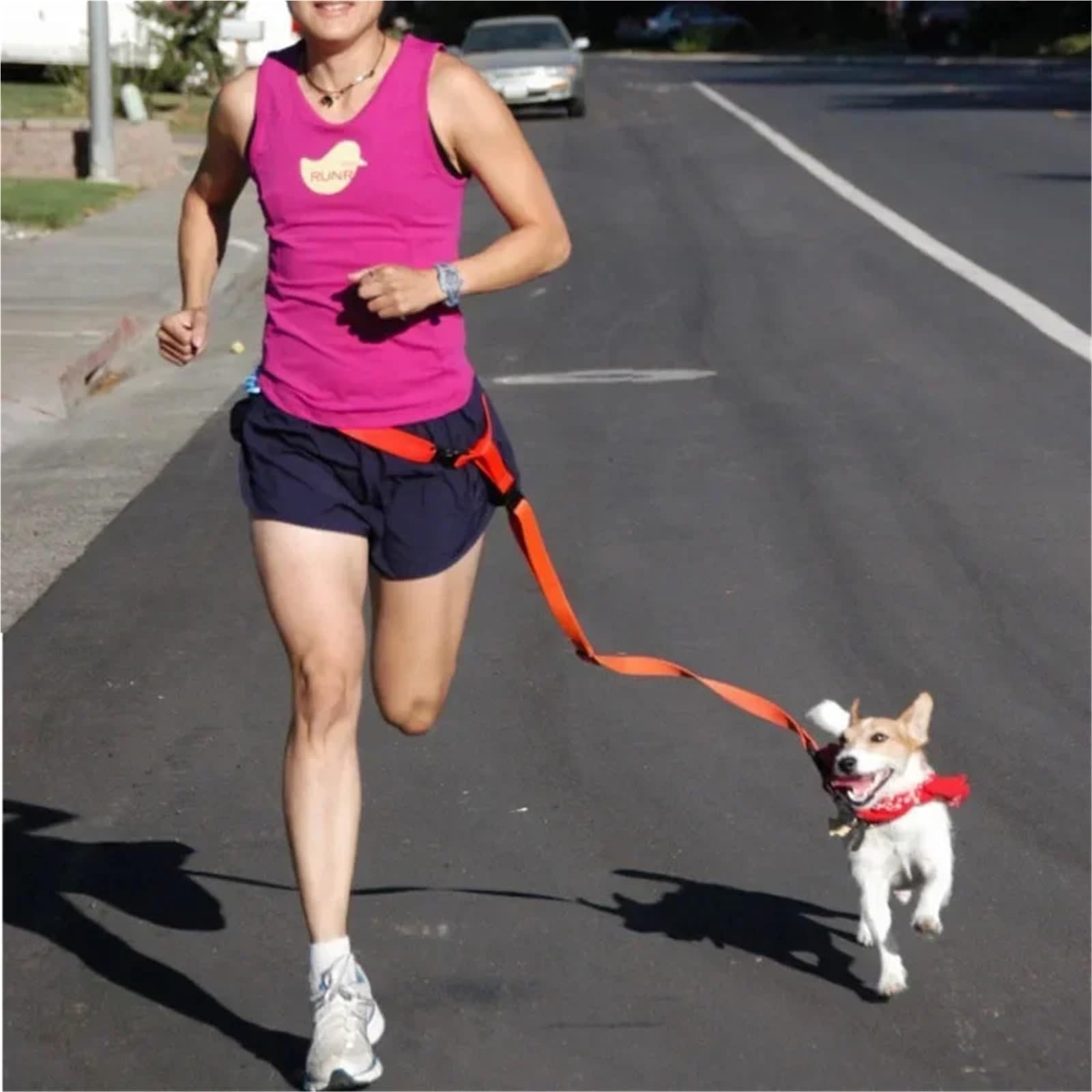 Ceinture de Traction pour Chien 1 Laisse réglable for Chien et Chat, idéale la Course, Marche, Le Jogging, Taille, Poitrine, Cadeau, Corde de Traction(Yellow)